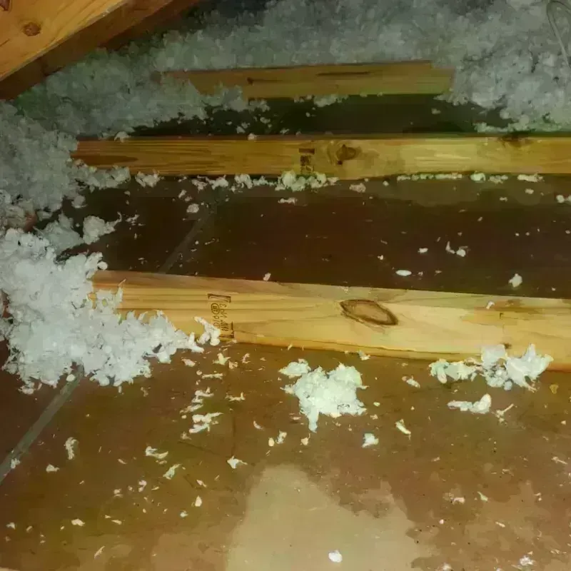 Attic Water Damage in Parchment, MI