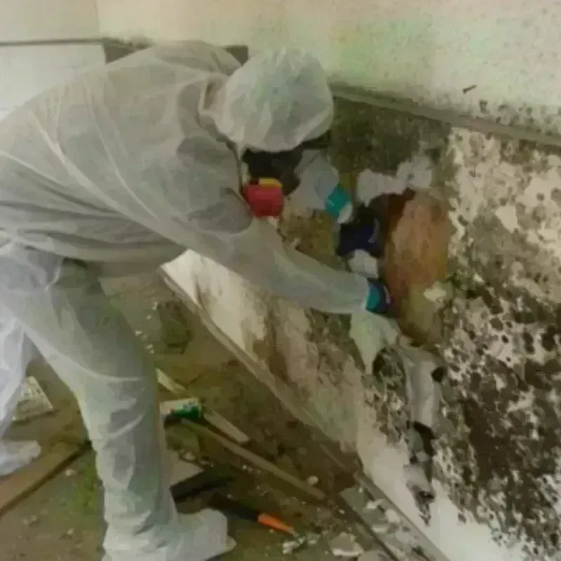 Mold Remediation and Removal in Parchment, MI