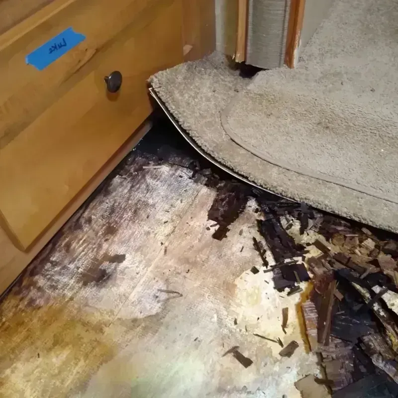 Wood Floor Water Damage in Parchment, MI